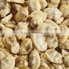 FROZEN CLAM MEAT