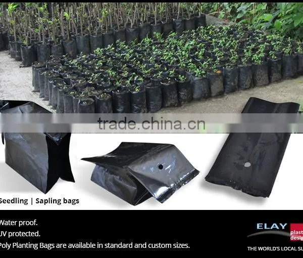 Seedling Bag photo-2