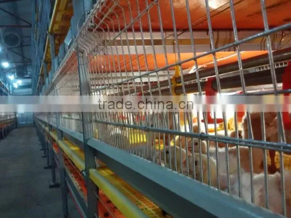 Poultry Equipment Broiler Cage photo-3