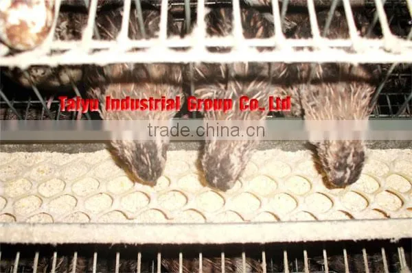 TAIYU Wire Mesh Quail Cage For Sale