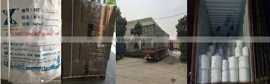 6 mm Sisal Rope Tree Branch photo-6