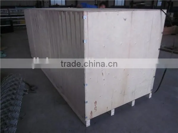 1.6mm Steel Wire Positive and Negative Twisted Barbed Wire Machine photo-5