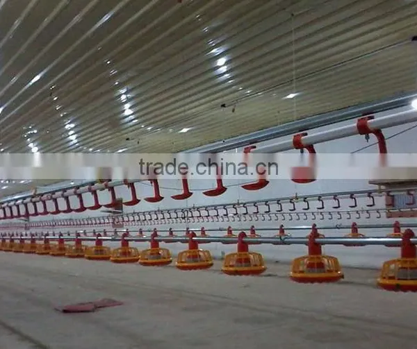 Complete Controlled Automatic Poultry Chicken Farm Equipment for Broiler photo-5
