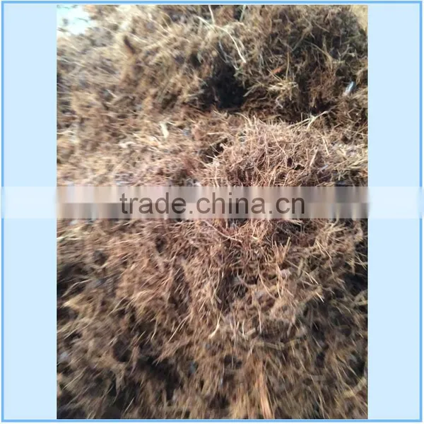 Coconut Shell and Oil Palm EFB Crushing Machine Used in Malaysia photo-4