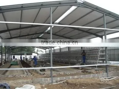 Design Modern Automatic Poultry China Equipment Chicken Farm photo-5