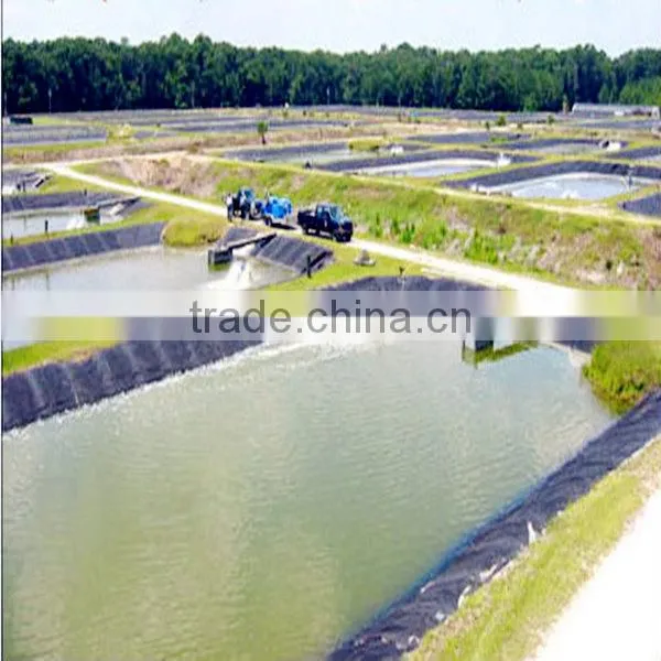 Directly SupplyTextured(Point) Geomembrane From Manufacturer photo-6