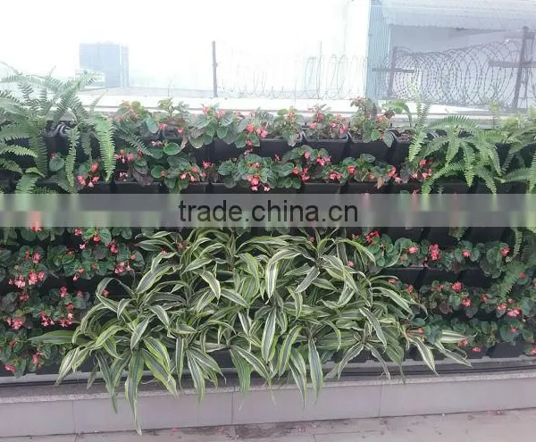 Vertical Garden Wall