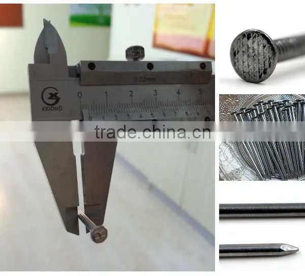 2017 Hot Sell Common Round Wire Nails photo-5