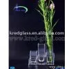 Clear Glass Vase