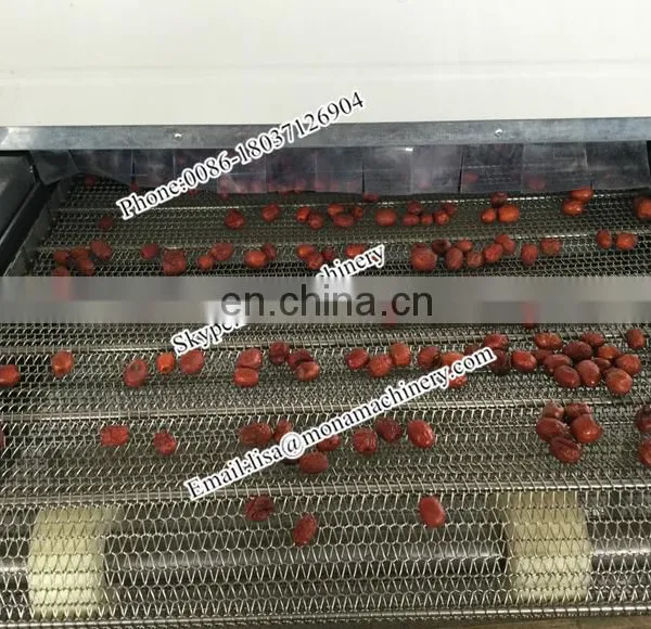 Factory Price Continuous Conveyer Belt Dryer/ Belt Chain Dryer / Chain Dryer photo-2