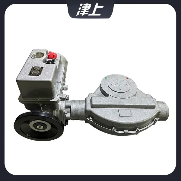 Bernard Electric Gate Valve Actuator B+RS600/K65Z Bluetooth Control Bus Protocol photo-5