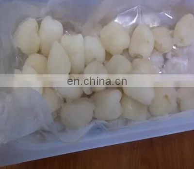 FROZEN RAMBUTAN FRUIT PREMIUM QUALITY VIETNAM photo-2