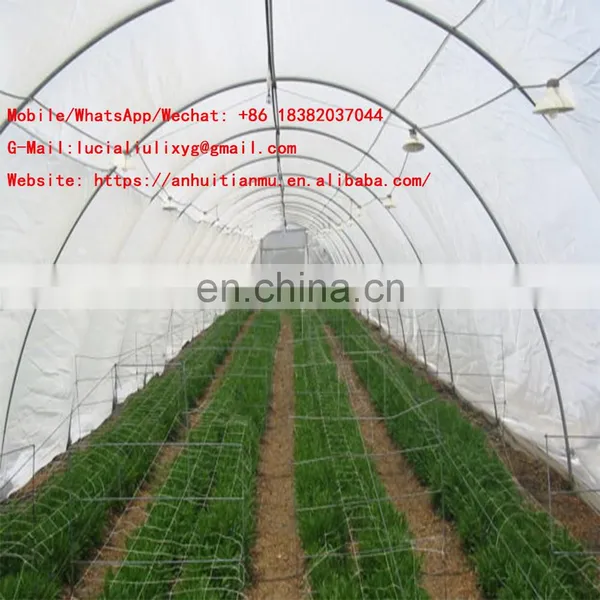 60 Insect Mesh Transparent Color Plastic Anti Insect Netting to Cover Greenhouse Plants photo-5