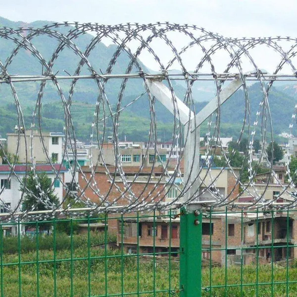 Customizable Sharp Barbed Wire for Easy and Convenient Installation photo-4