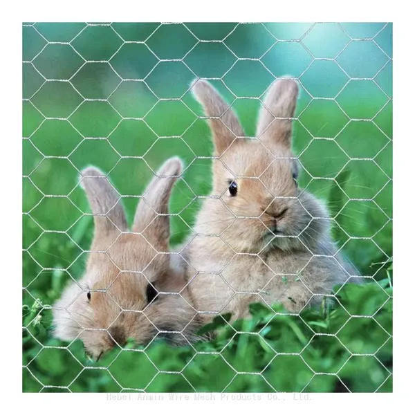 Galvanized hexagonal wire mesh, hexagonal iron wire mesh, hexagonal wire mesh, strong chicken wire mesh, small animal isolation netting