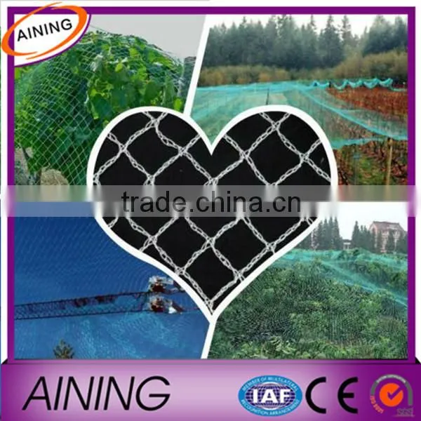 High Quality Vineyard Bird Netting for Agriculture photo-2