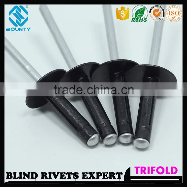 HIGH QUALITY FACTORY L/F HEAD LOAD SPREADING RIVETS FOR GLASS CURTAIN WALL photo-5