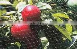 100%PP UV Stabilised Anti Bird Net for Manufacturing photo-1