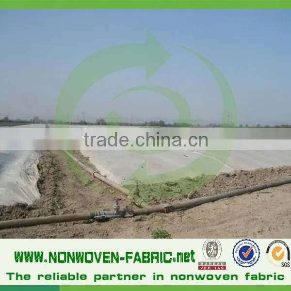 Low Price Spunbonded Nonwoven Fabric for Agricultural Cover photo-3