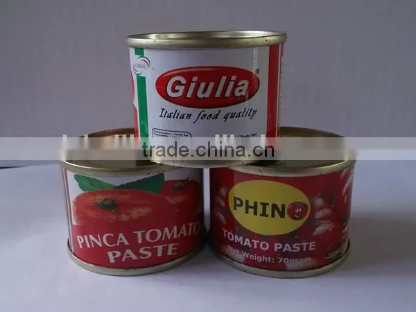 GINNY Quality Tomato Paste, Tinned Tomato Paste 28/30 photo-4