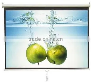 PROJECTION SCREEN