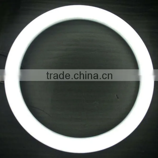 T9 G10q Socket 300mm Led Circular Ceilight Tube CE RoHs photo-2