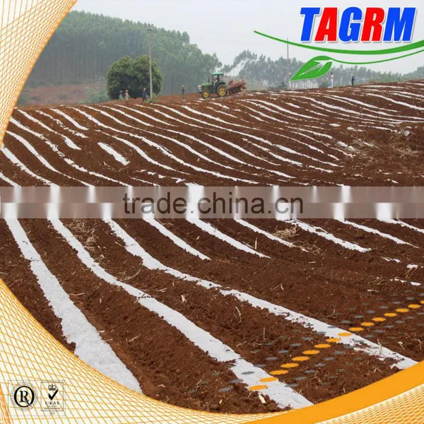 Labor Intensity Reducing Sugarcane Machine of 2 Rows Seed Sugarcane Planting Machine for Wholesale photo-5