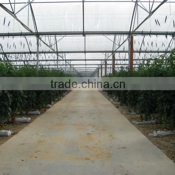 H2h Hydroponic Systems and Greenhouses photo-5