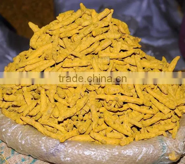 Asian High Quality Turmeric Fingers