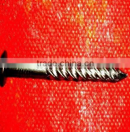 Tunisia Market Twisted Nails photo-2