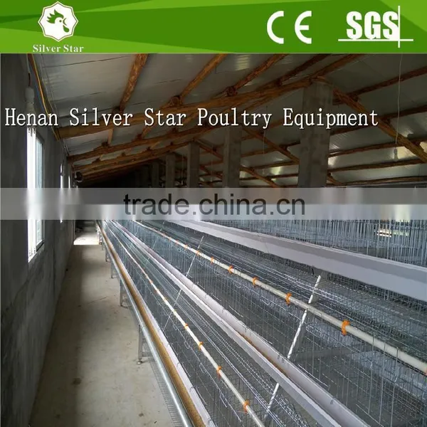 Steel Structure Chicken House for A Type Layer Chicken Cage of Poultry Equipment photo-2