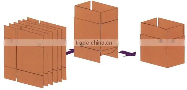 Dropdown Carton Packer Case Packing Machine High Speed Pick and Pack photo-3