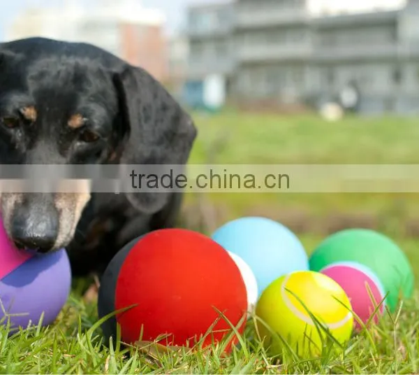 Wholesale Solid Pet Ball photo-4