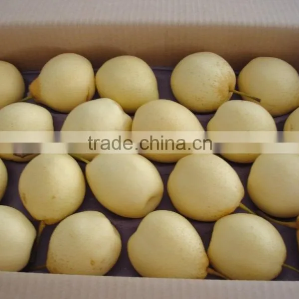 New Crop of China Fresh ya Pear for Hot Sale photo-2