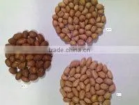 Java Peanuts photo-5