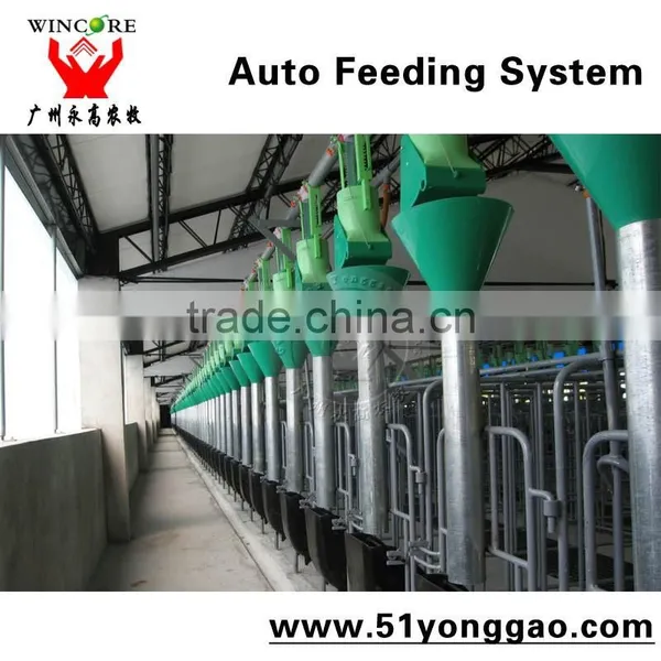Auto Feeding System for Pig Farm photo-3