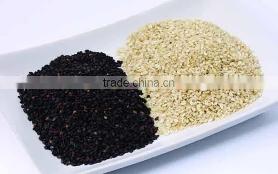 Sesame Seed Dryer /sesame Drying Machine photo-6