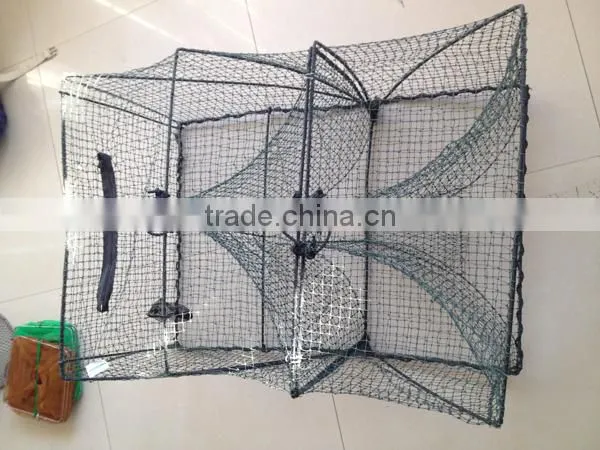 Cheap Folding Fish and Crab Traps Sale photo-3