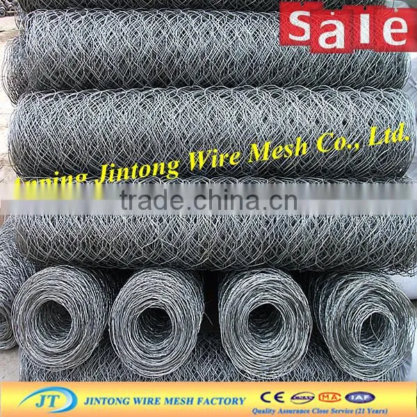 Pvc Coated Hexagonal Wire Mesh photo-5