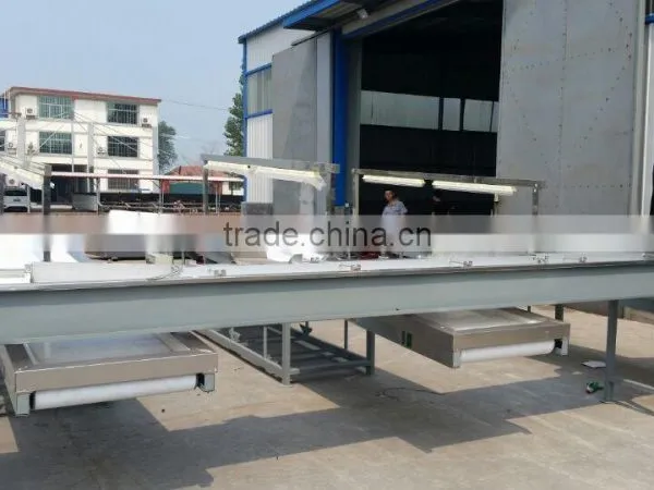 Belt-type Color Sorter for Peanut Kernel/peanut Separating Machine photo-2
