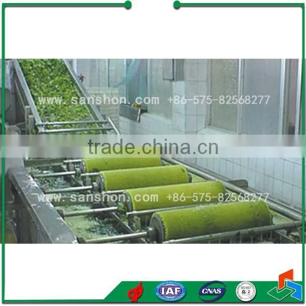 Vegetable Bubble Washing Leafy Vegetable Washing Machine photo-4