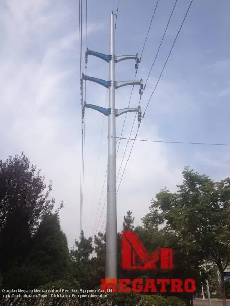Megatro трансмиссия тангенциальные полюса photo-2