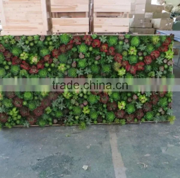 Succulent Plants Green Wall Interior Decoration for Sale photo-4