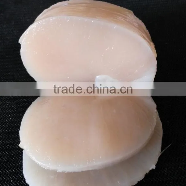 Frozen Scallop High Quality Pen Scallop for Sale photo-4