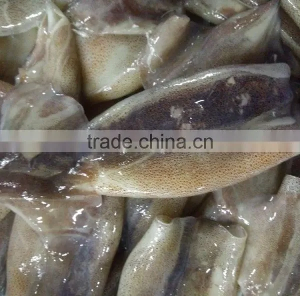 Zhengyuan Frozen Illex Squid Tube photo-3