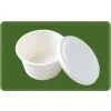 Supply Disposable Biodegradable Bagasse Partyware Tack-away Bowl photo-3