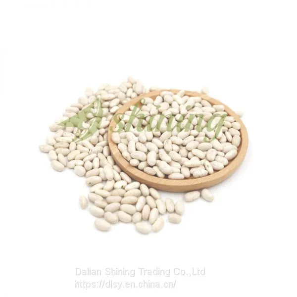 Spanish White Kidney Beans