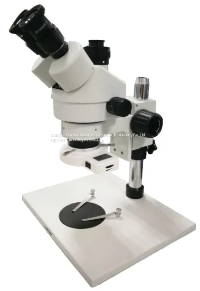 Zoom Stereo Microscope