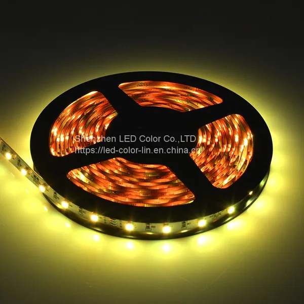 RGB Dream Color Smd 3528 LED Strip Glue Waterproof DC12V Led Strip photo-4