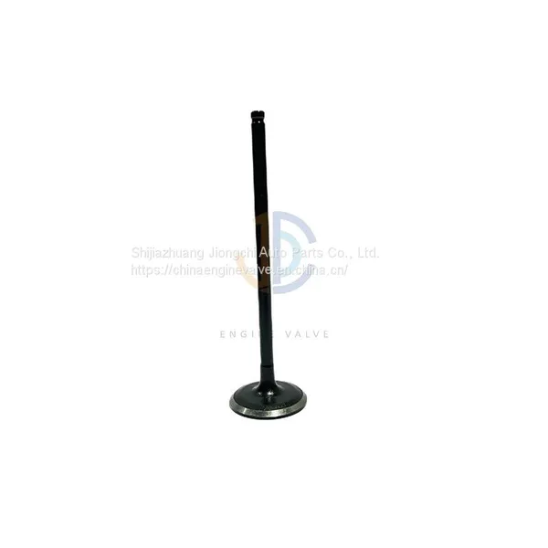 Race Modified Motorcycle Parts Engine Valves For Honda VFR 800